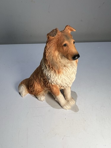 Castagna rough collie dog - collie,